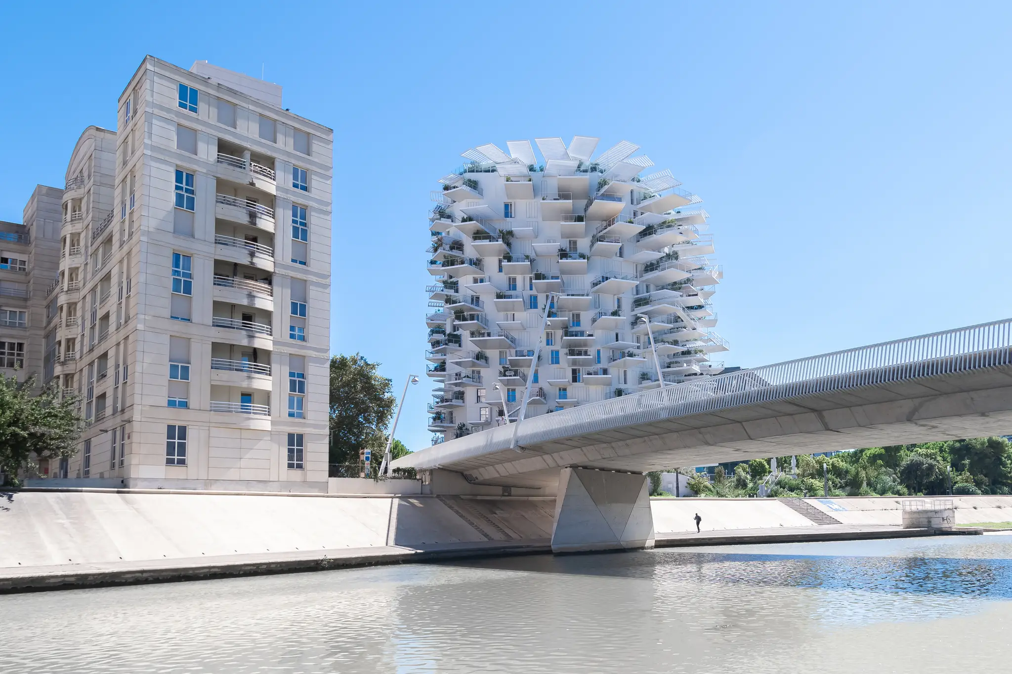 Arbre Blanc a Montpellier, Francia