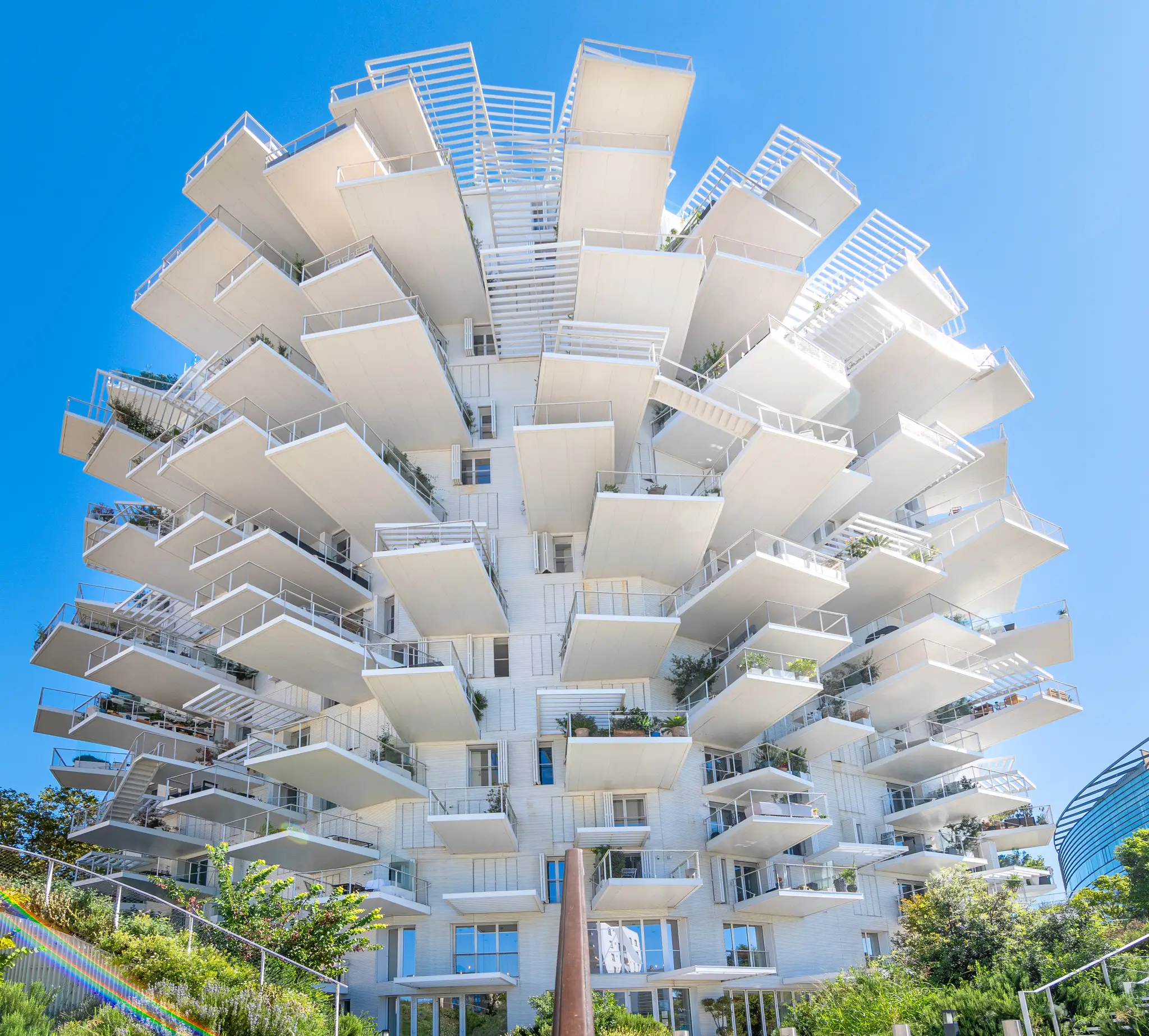 Arbre Blanc a Montpellier, Francia
