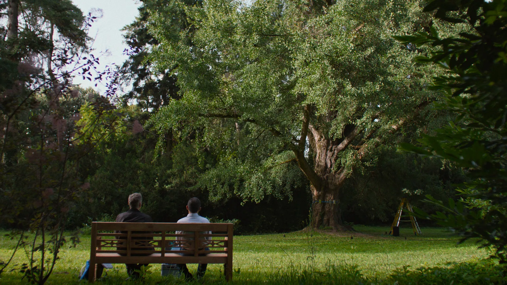 Scena tratta dal film "Silent Friend", di Ildikó Enyedi (2025)